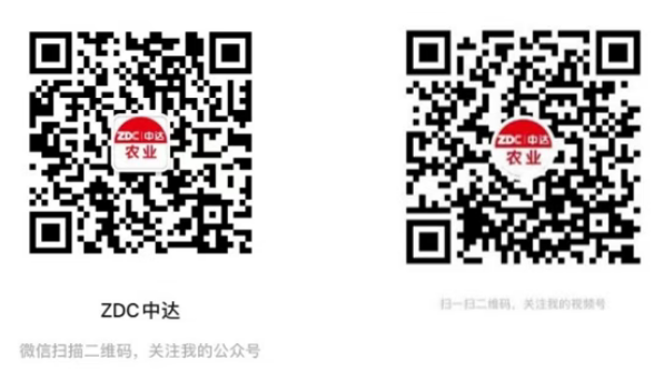 新一代高分子纳米杀虫剂″木甲介″重磅上市——快速融蜡 、木介双杀