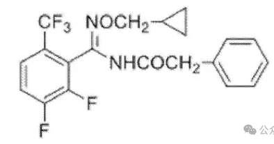 QQ20260304-104619.jpg 新型苯乙酰胺类杀菌剂—环氟菌胺,可精准高效防治抗性白粉病