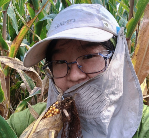 农业领域的女性力量