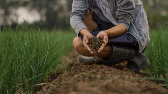 ″辉瑞模式″重塑农化行业:为什么说巨头们已经无法包揽一切?