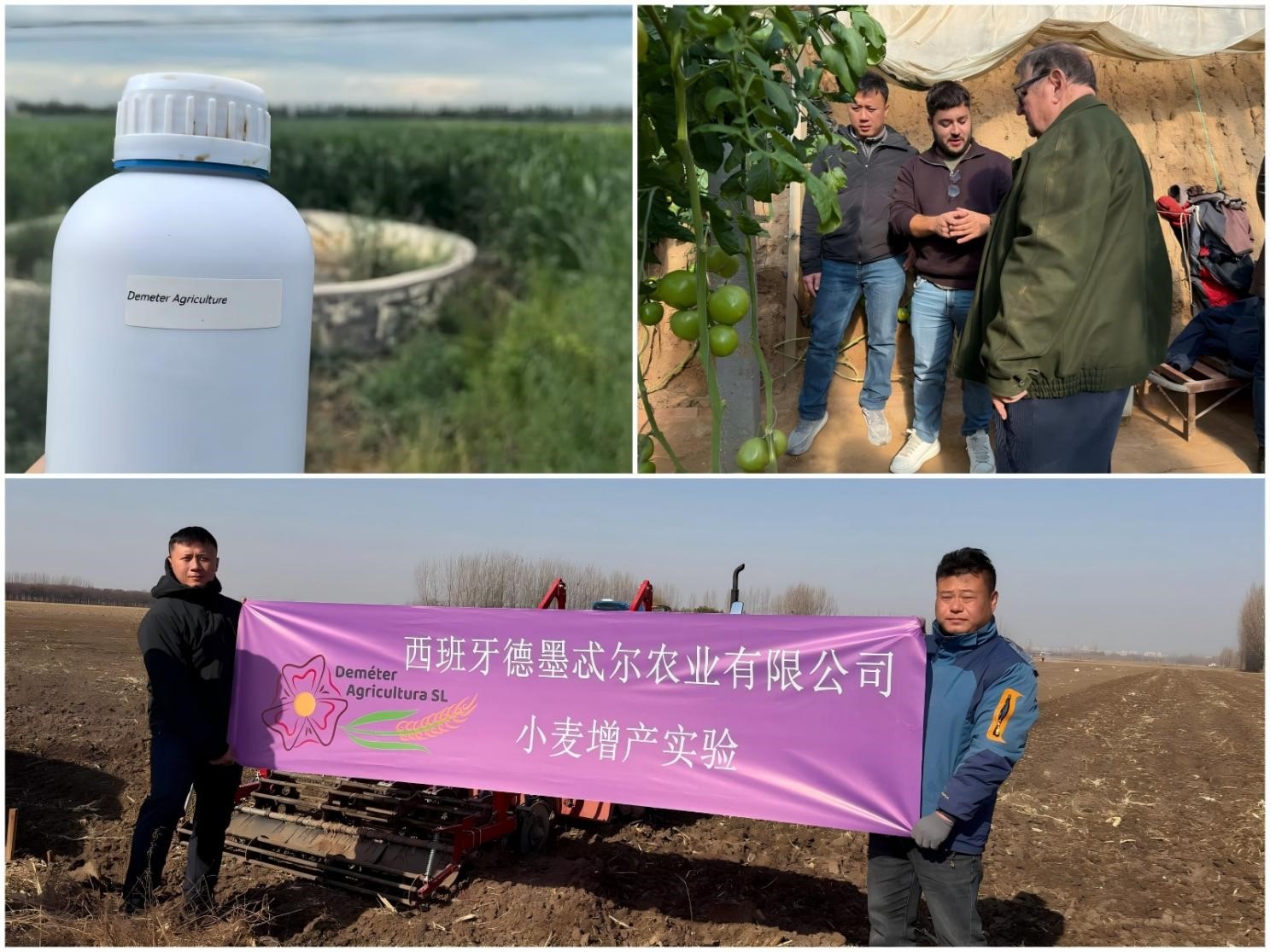 图片2.jpg 西班牙Deméter高浓缩泡叶藻生物刺激剂——正式进军中国市场