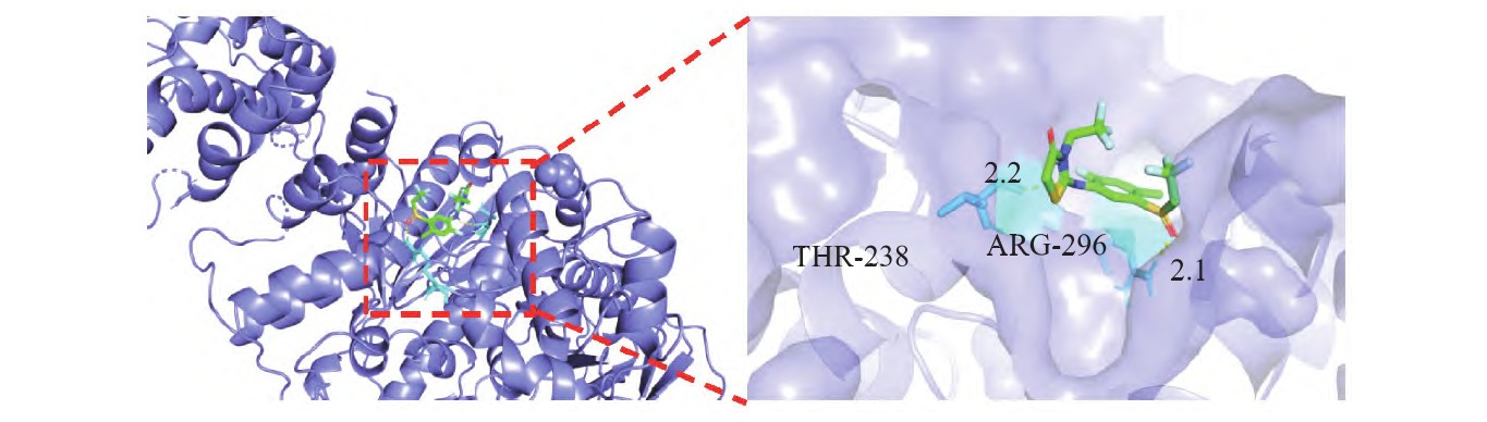 NYZZ202602001_04600.jpg 新型氟乙基硫醚(亚砜)类杀螨剂Sulfiflumin的合成及其杀螨活性验证