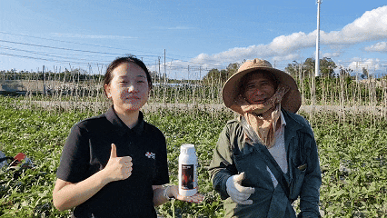 六夫丁威猛®全国上市，中国杀虫剂再添硬核王牌