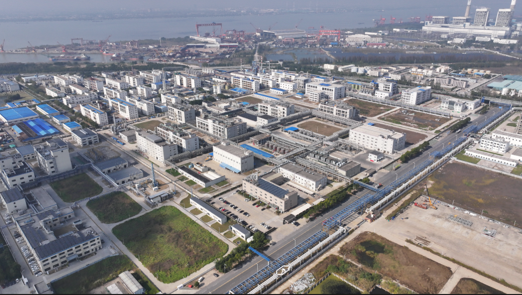 以坚持为核，以匠心筑基：穿越行业周期的″苏利答案″