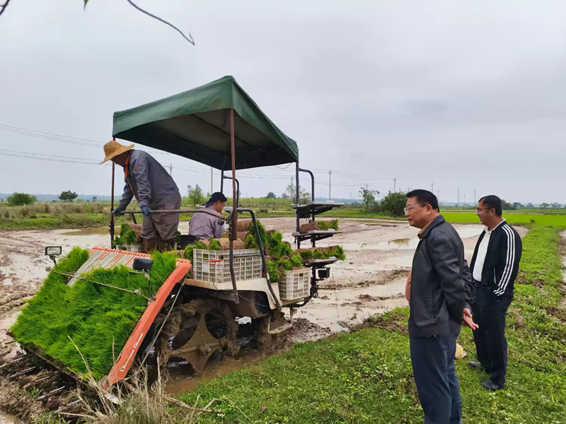 海口农机安全监理所开展水稻机插秧和农机券使用推进工作