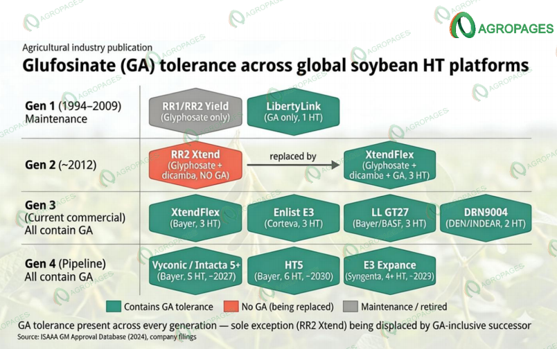 草铵膦：全球大豆多重HT平台的不可或缺底盘