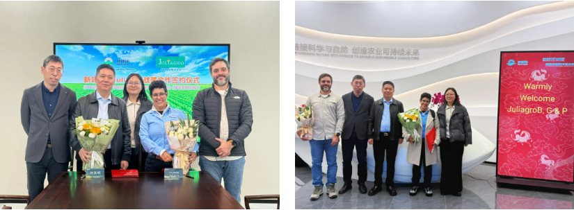 深化国际化布局,新朝阳与巴西Juliagro签署战略合作协议