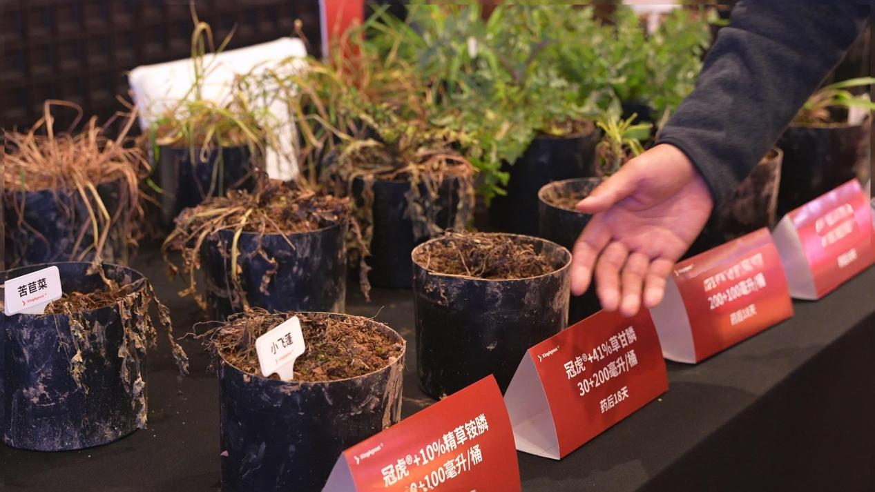 清原隆重发布全新非选择性除草剂氟氯氨草酯及冠虎®品牌