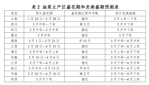 警惕！2026年冬油菜菌核病预计在西南西北部、长江中游、江南西部偏重发生