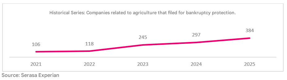 2025年巴西涉农企业司法重组申请攀升29%，个体农户占比居首