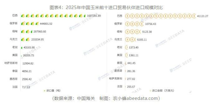 中国玉米进出口再平衡：2025年贸易逆差创五年最低，出口创四年新高