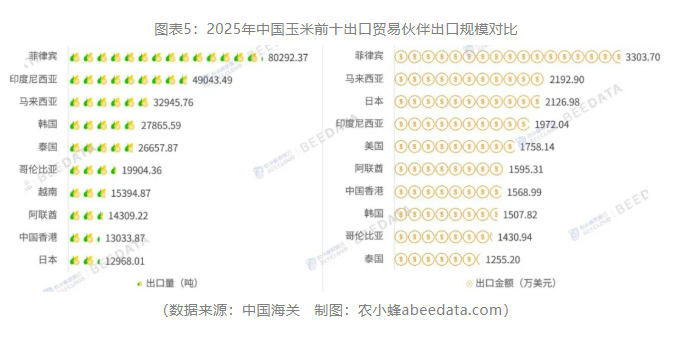 中国玉米进出口再平衡：2025年贸易逆差创五年最低，出口创四年新高