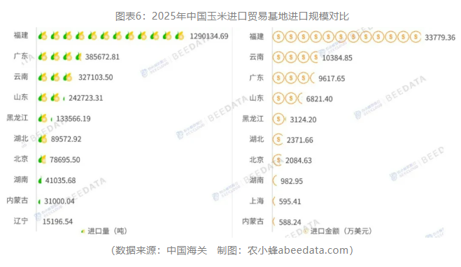 中国玉米进出口再平衡：2025年贸易逆差创五年最低，出口创四年新高