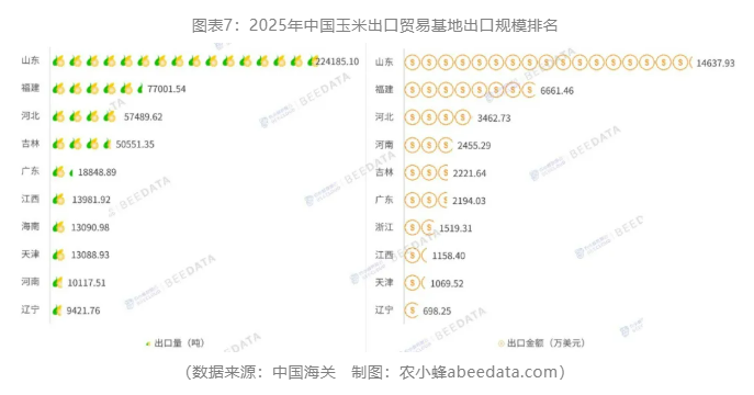 中国玉米进出口再平衡：2025年贸易逆差创五年最低，出口创四年新高
