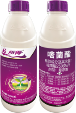 依托原药优势，打造作物全程解决方案——专访连云港立本作物科技有限公司总经理戴占勇