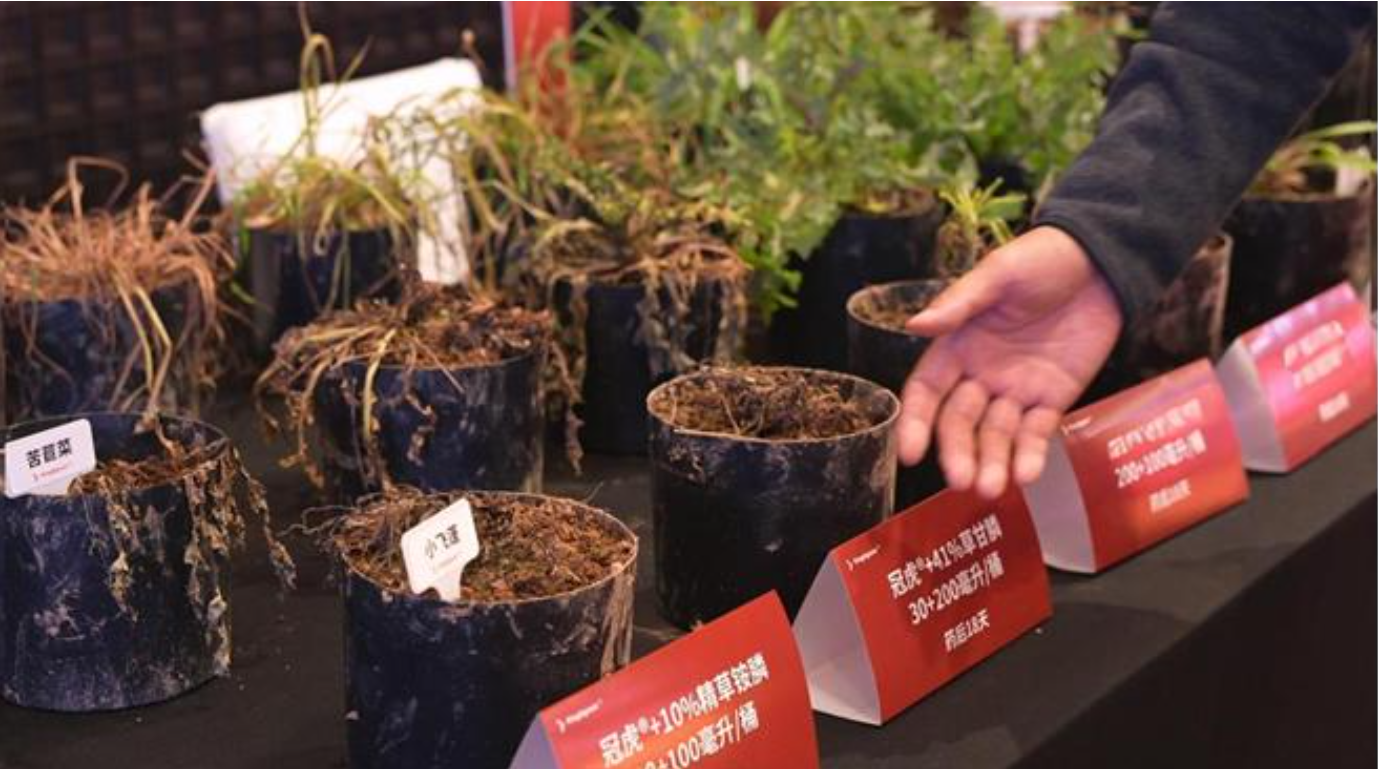 两款专利化合物重磅出击，清原重塑灭生除草新格局