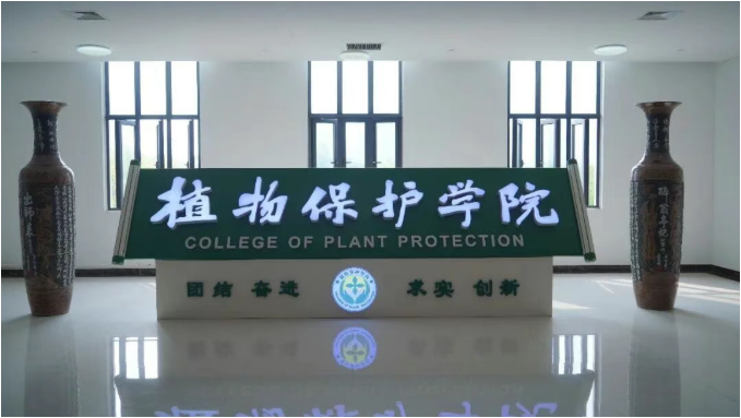 重磅签约 ‖ 河南农业大学&″黑能量增产肥″联合启动花生增产研究项目