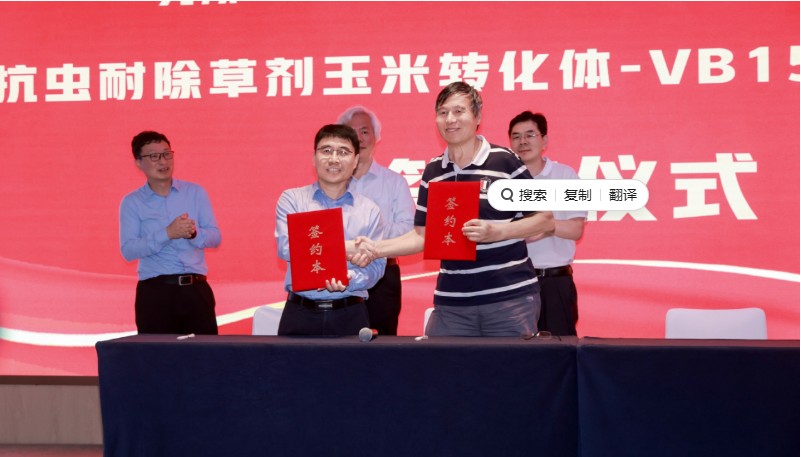 中国农科院作物所与海南绿谷生物联合开发的抗虫耐除草剂玉米转化体VB15签约落地转化