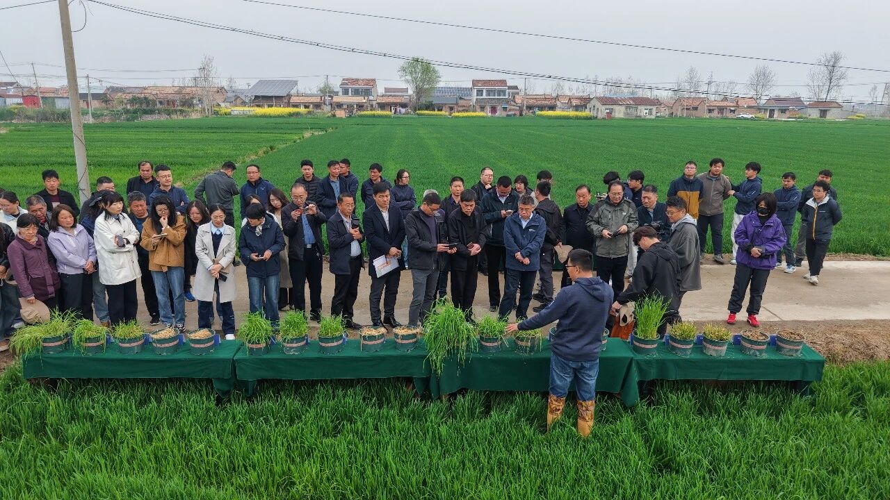 清原新型专利除草剂溴噁草松备受关注
