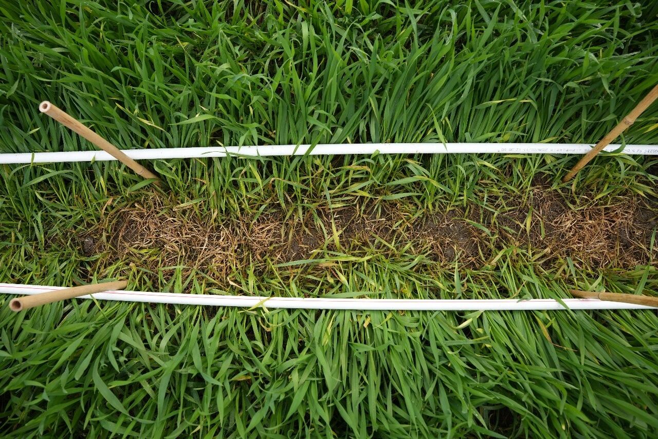 清原新型专利除草剂溴噁草松备受关注