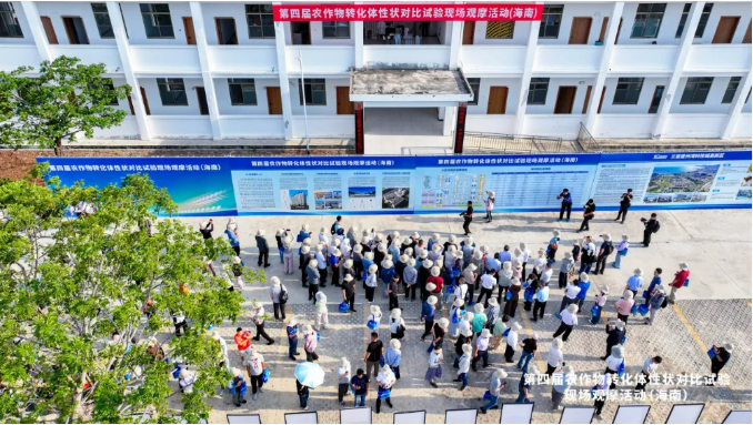 农业农村部科技发展中心搭台生物育种性状，15家单位25个材料同台实效竞技