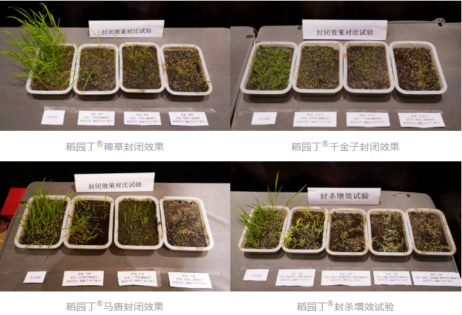 合力科技上市新型稻田封闭除草剂稻园丁®（氟硫草定）