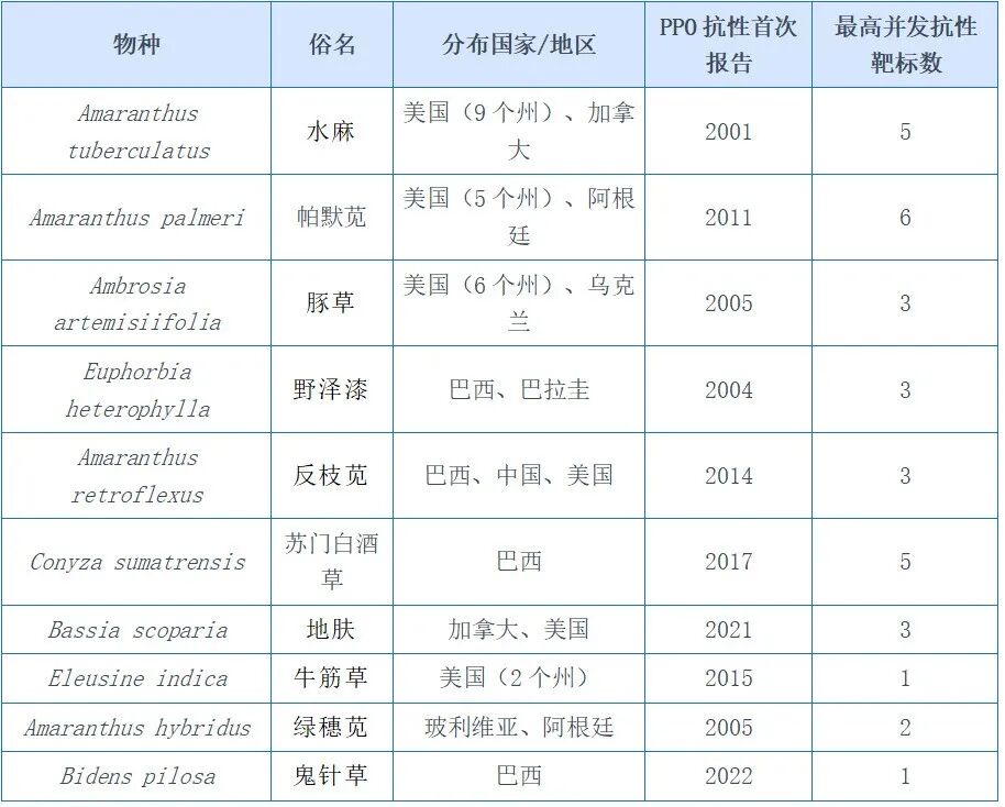 640.jpg PPO抗性蔓延至全球18个杂草物种——巴斯夫、先正达、富美实、住友化学除草剂产品线面临何种冲击?