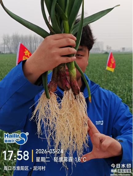 海利尔:战春耕 护航丰收开好局