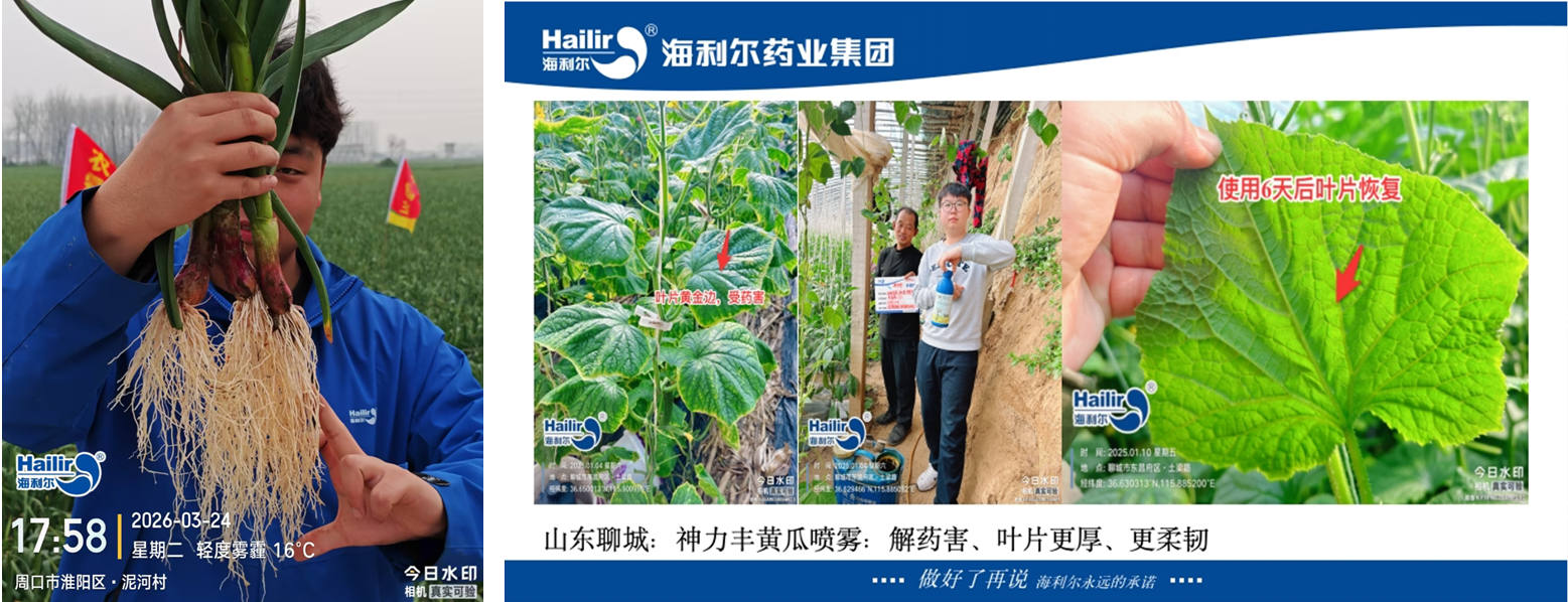 海利尔:满负荷生产核心产品,实现全线刚需保供