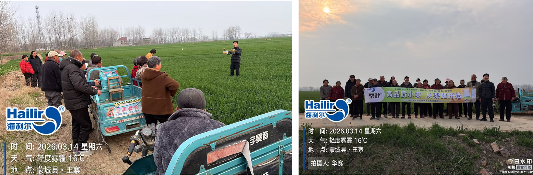 海利尔：满负荷生产核心产品，实现全线刚需保供