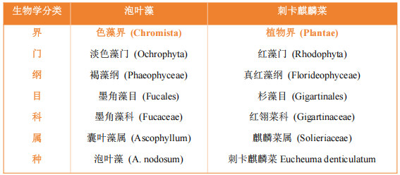还在死磕褐藻?红藻生物刺激素,或是你作物增产的下一个风口!