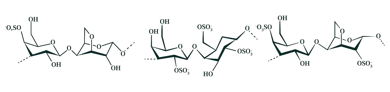 图片.png 还在死磕褐藻?红藻生物刺激素,或是你作物增产的下一个风口!