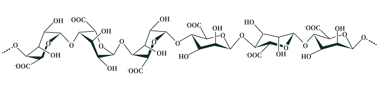 图片.png1.png 还在死磕褐藻?红藻生物刺激素,或是你作物增产的下一个风口!