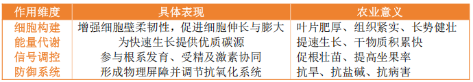 还在死磕褐藻?红藻生物刺激素,或是你作物增产的下一个风口!