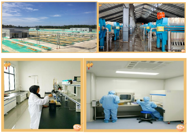 还在死磕褐藻?红藻生物刺激素,或是你作物增产的下一个风口!