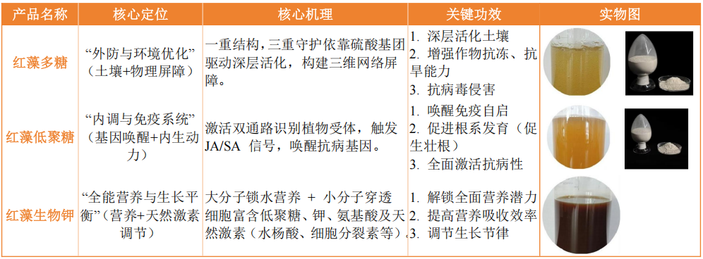 还在死磕褐藻?红藻生物刺激素,或是你作物增产的下一个风口!