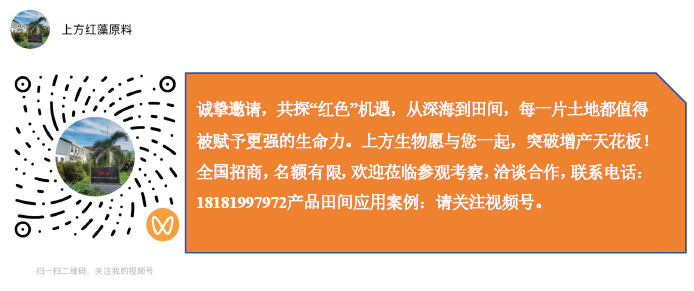 还在死磕褐藻?红藻生物刺激素,或是你作物增产的下一个风口!