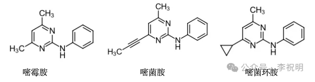 嘧菌环胺——继嘧霉胺、嘧菌胺之后的新型苯胺嘧啶类杀菌剂