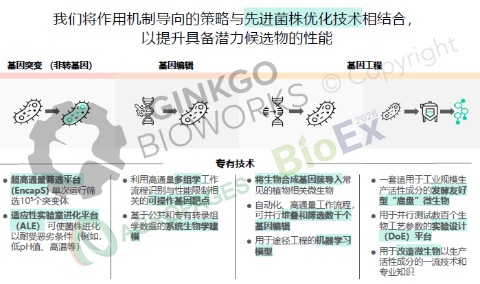 两个死亡谷:合成生物学如何在农业赛道真正落地
