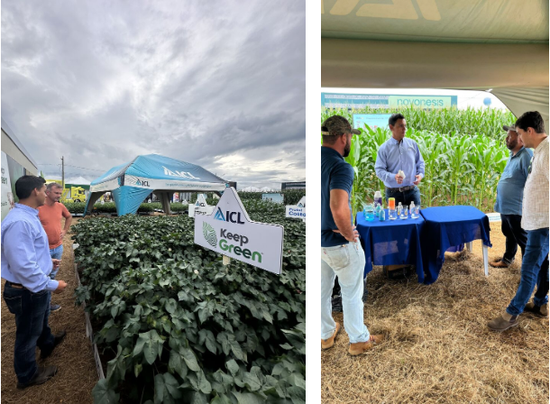 ICL旗下Aminoagro新品亮相巴西展会，激活植物内在免疫力