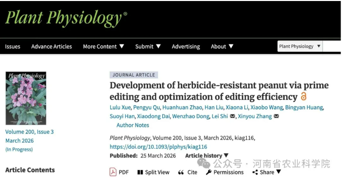 张新友院士团队利用引导编辑技术创制出抗除草剂花生种质