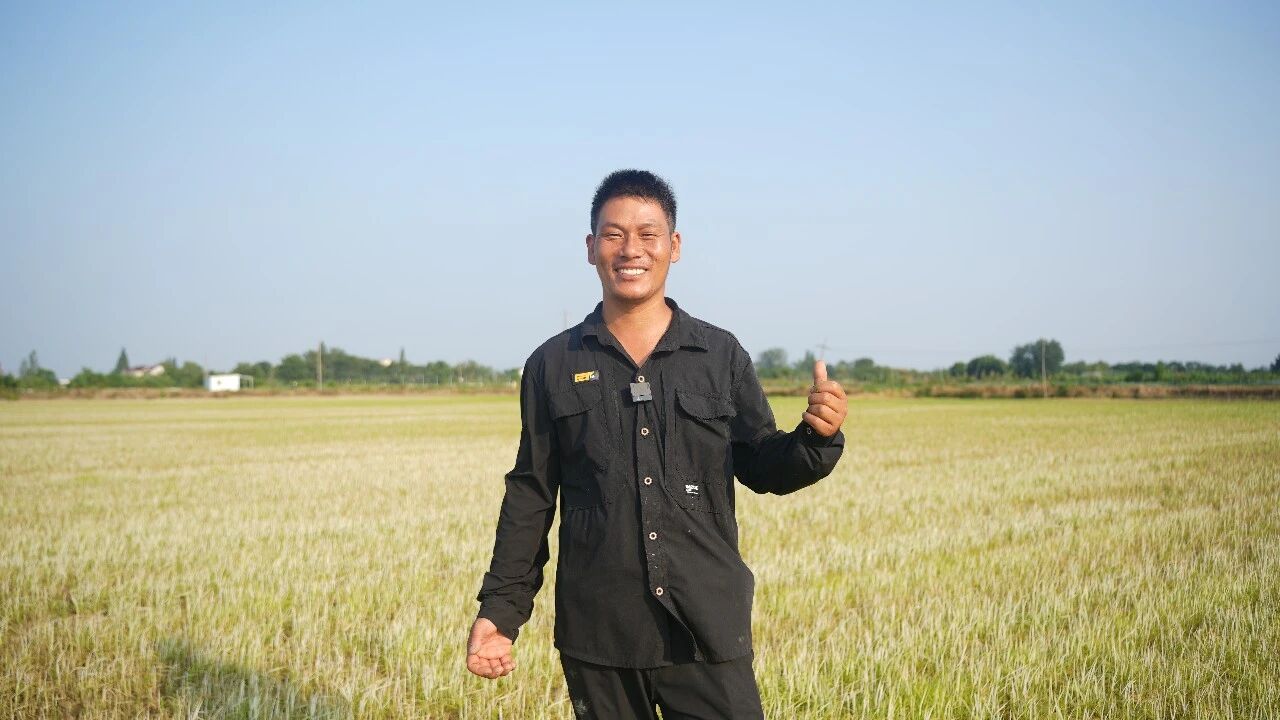 三大优势直击痛点，氟砜草胺成功破局