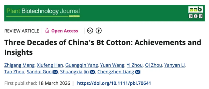 中国Bt棉花产业化30年来取得的经验、成就与启示