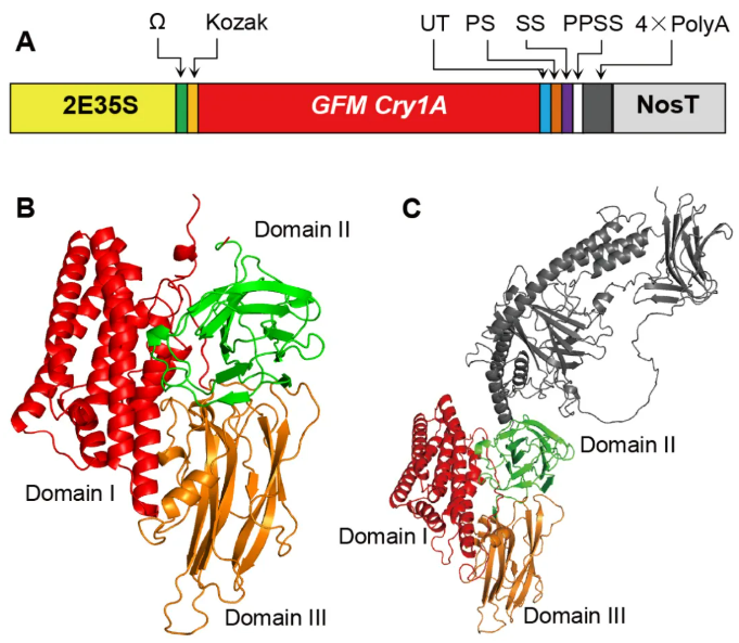 QQ20260415-100546.jpg 中国Bt棉花产业化30年来取得的经验、成就与启示