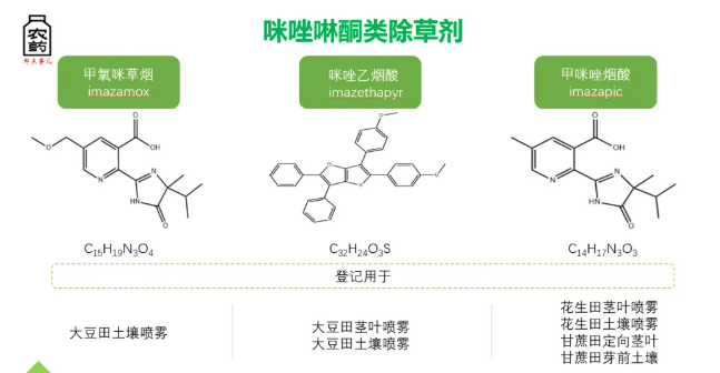 首次!甲氧咪草烟即将正式″破圈″水稻作物,配套耐IMI品种精准除草