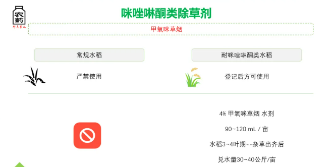 首次!甲氧咪草烟即将正式″破圈″水稻作物,配套耐IMI品种精准除草