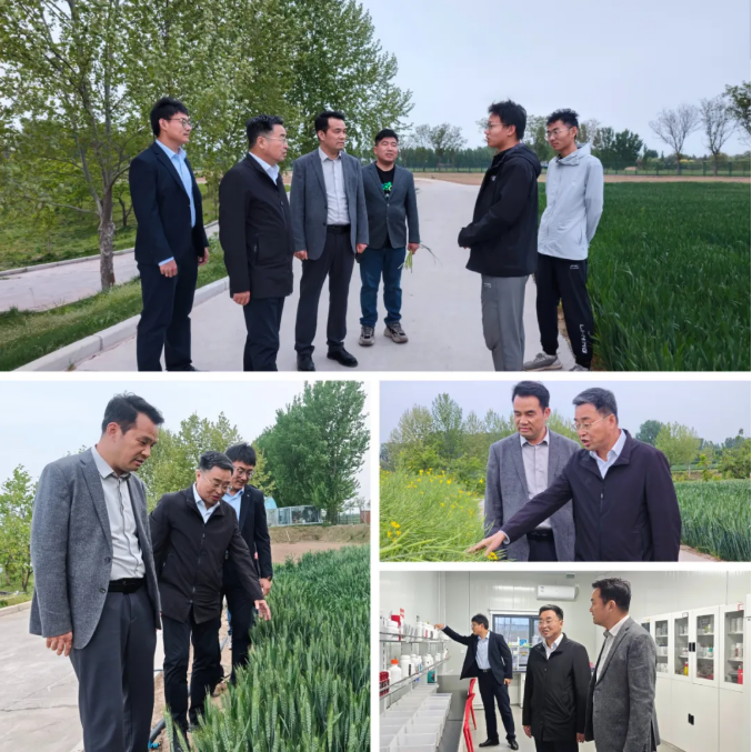 南京农业大学&六夫丁产学研战略合作交流会在郑州举行