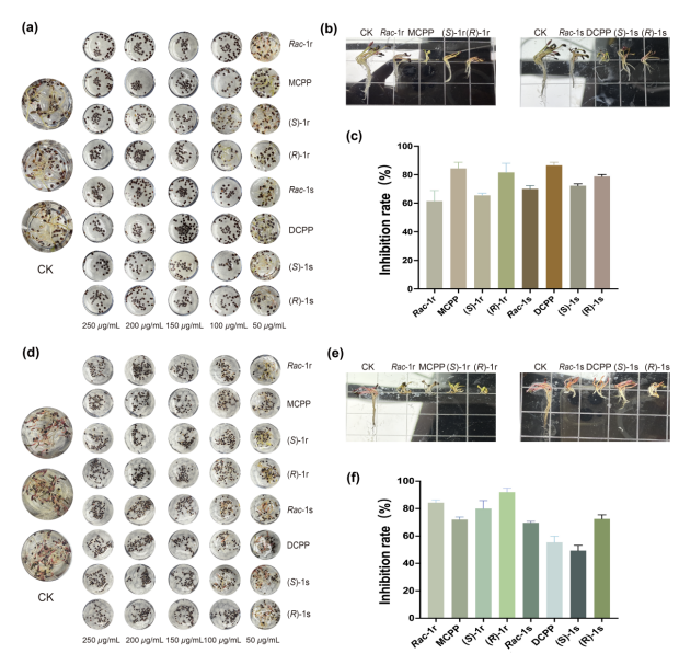 重大进展！贵州大学为手性除草剂开发提供新方向