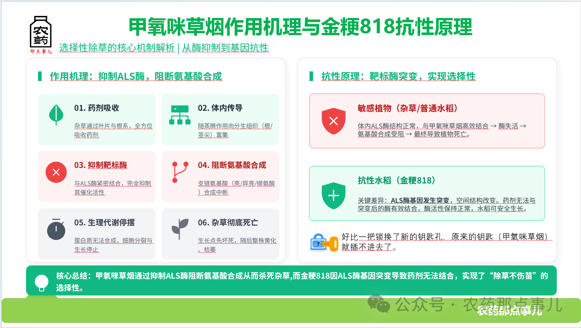 首次！甲氧咪草烟将完成在水稻上扩作登记