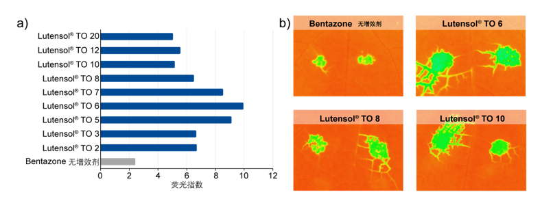 巴斯夫Lutensol® TO表面活性剂：单一组分实现高效乳化与精准增效，重塑乳油 EC 极简配方与卓越性能
